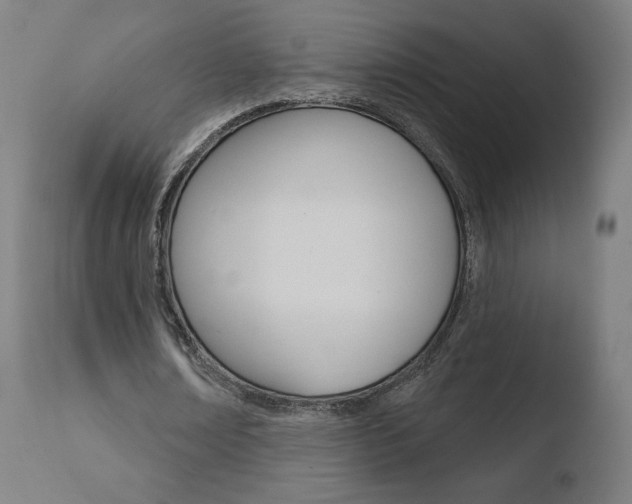 X0000110720674200906121247
