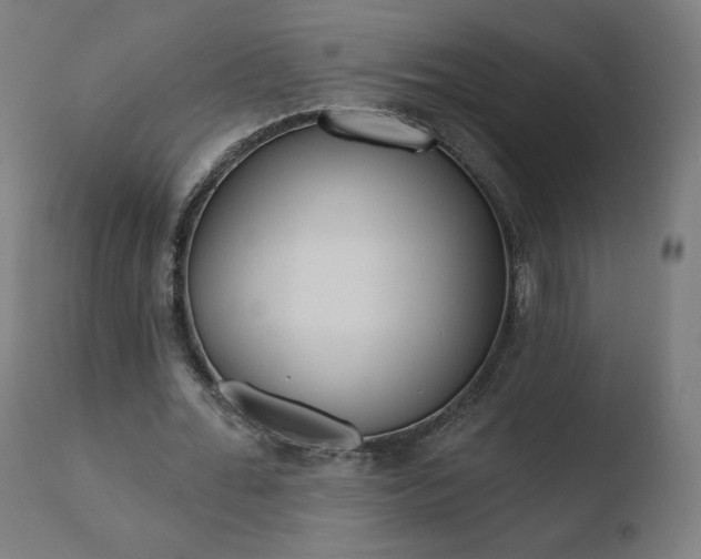 X0000110720676200906121247