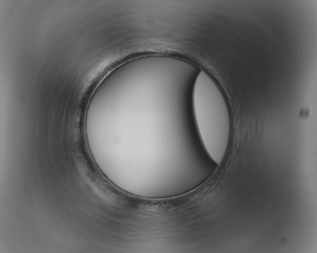 X0000110720679200906121247