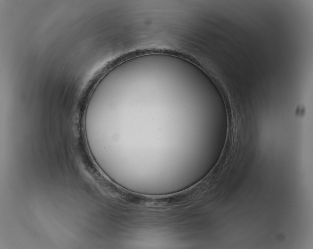 X0000110720680200906121247