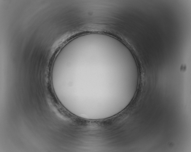 X0000110720682200906121247