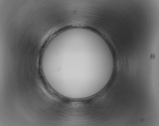 X0000110720686200906121247