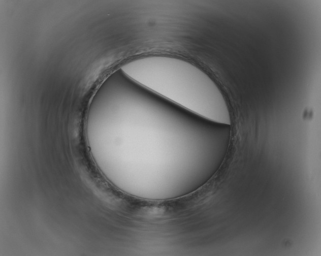 X0000110720687200906121247