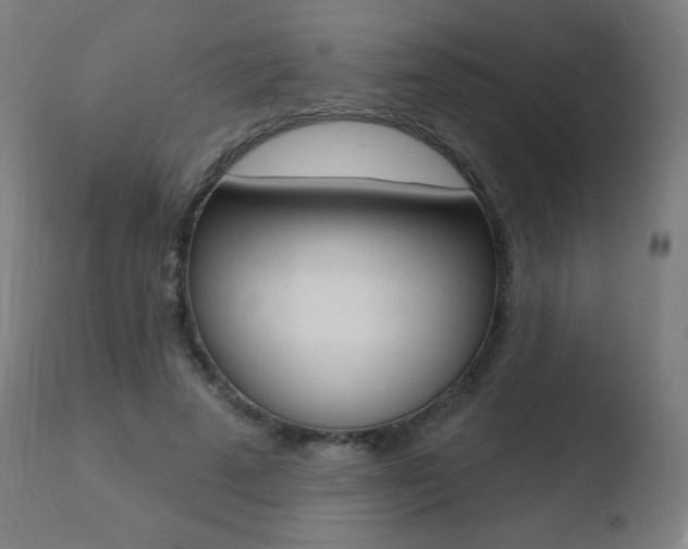 X0000110720689200906121247