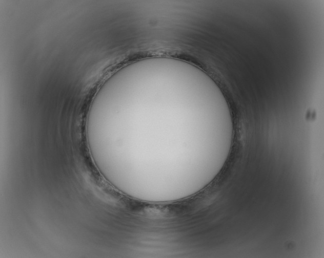 X0000110720690200906121247