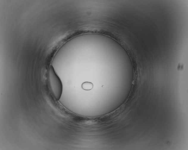 X0000110720692200906121247