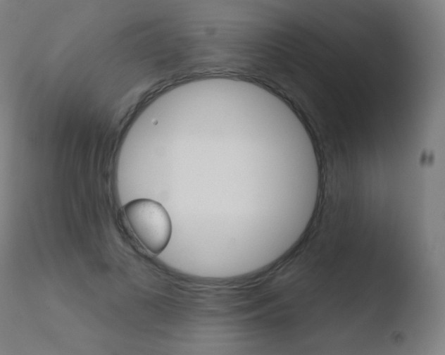 X0000110720693200906121247