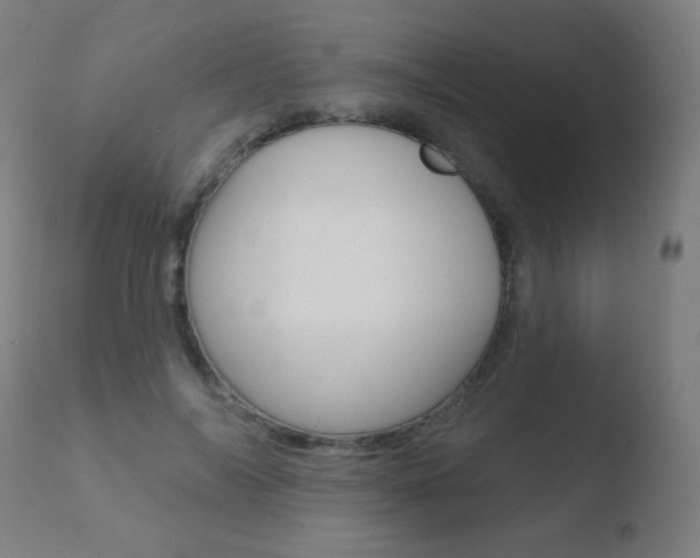 X0000110720694200906121247