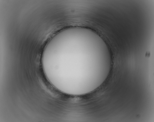 X0000110720695200906121247