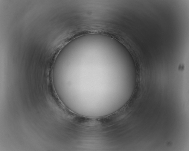 X0000110720696200906121247
