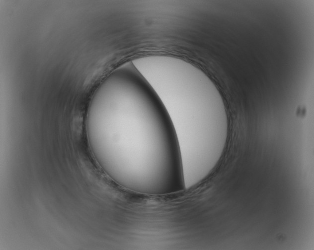 X0000110720697200906121247