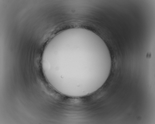 X0000110720698200906121247