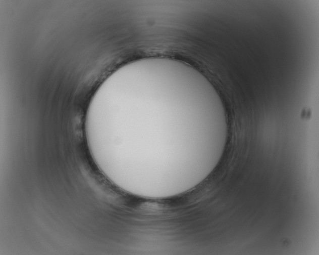 X0000110720699200906121247