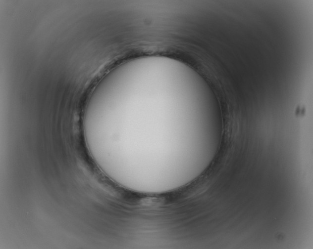 X0000110720700200906121247