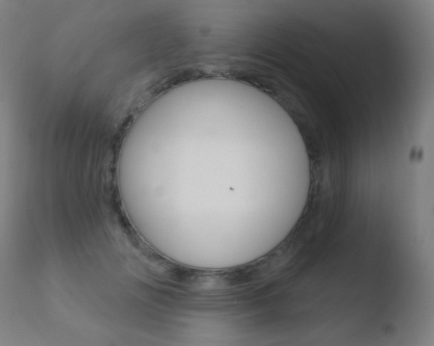 X0000110720702200906121247