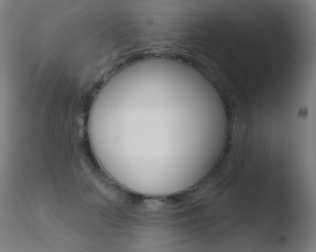 X0000110720703200906121247
