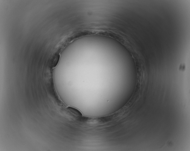 X0000110720704200906121247