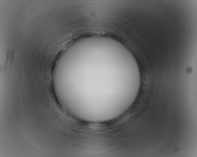 X0000110720707200906121247