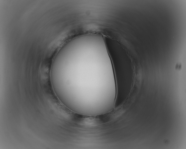 X0000110720708200906121247
