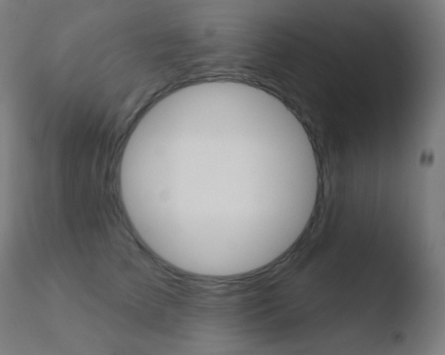 X0000110720709200906121247