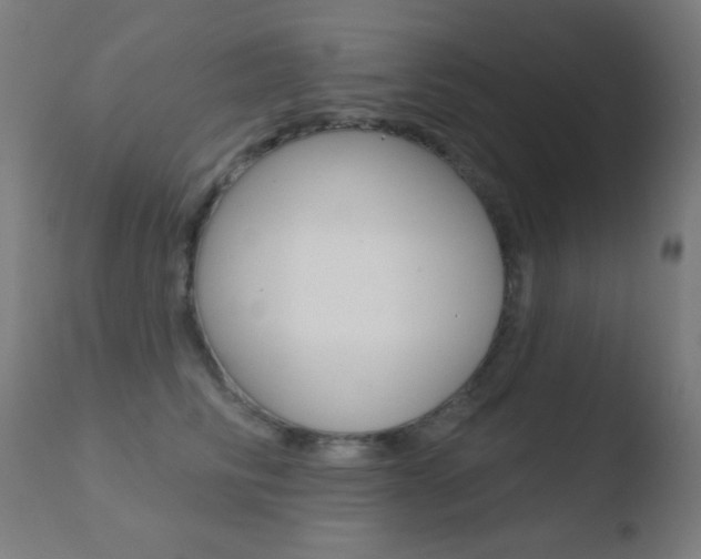 X0000110720710200906121247