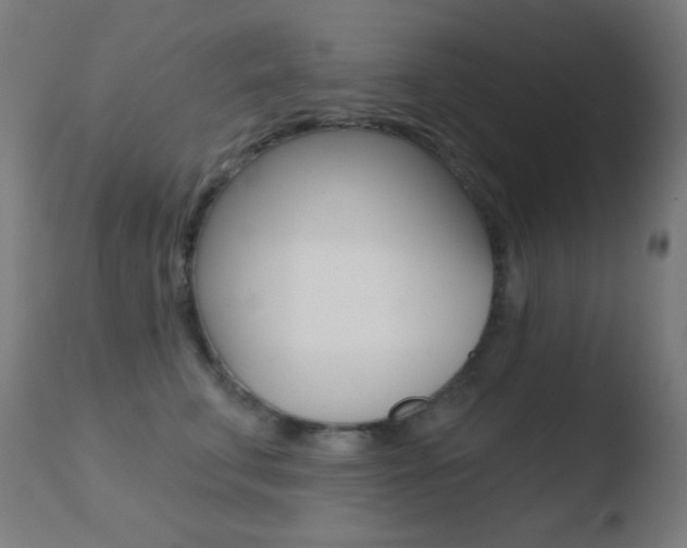 X0000110720711200906121247