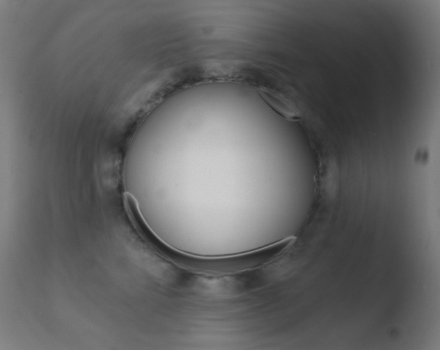 X0000110720712200906121247