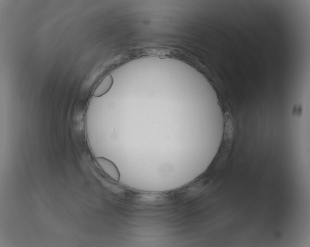 X0000110720713200906121247