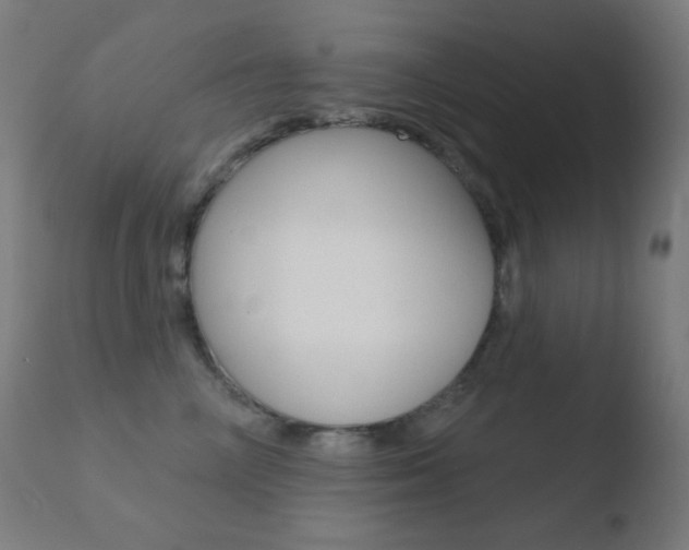 X0000110720714200906121247