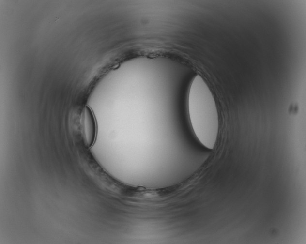 X0000110720715200906121247