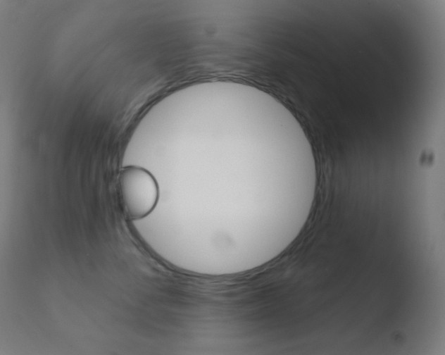 X0000110720716200906121247