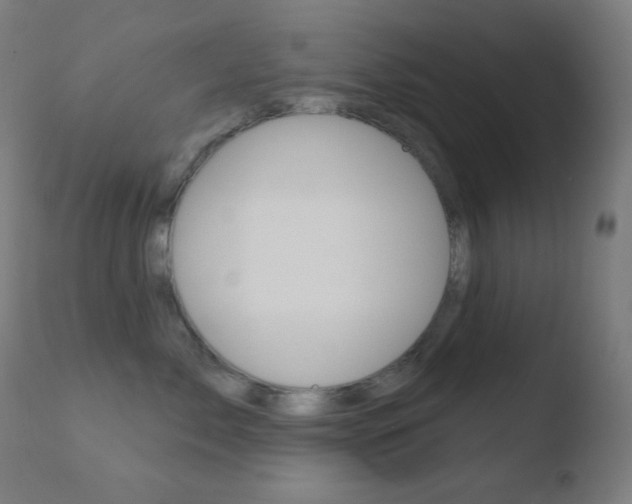 X0000110720717200906121247