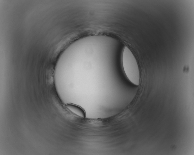 X0000110720719200906121247