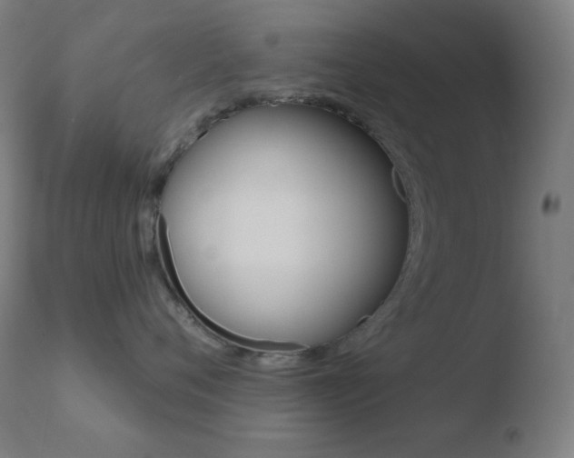 X0000110720720200906121247