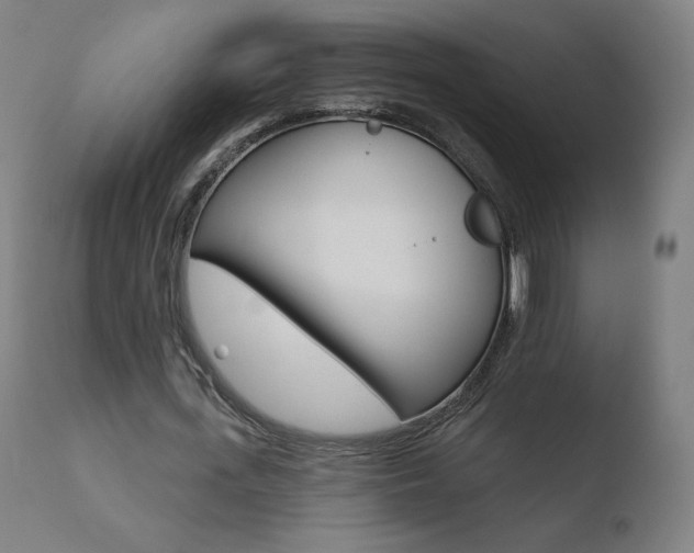 X0000110720723200906121246