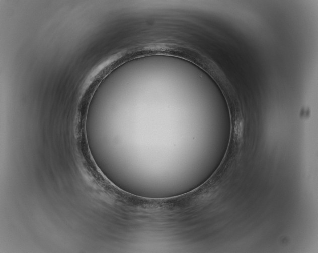 X0000110720724200906121246