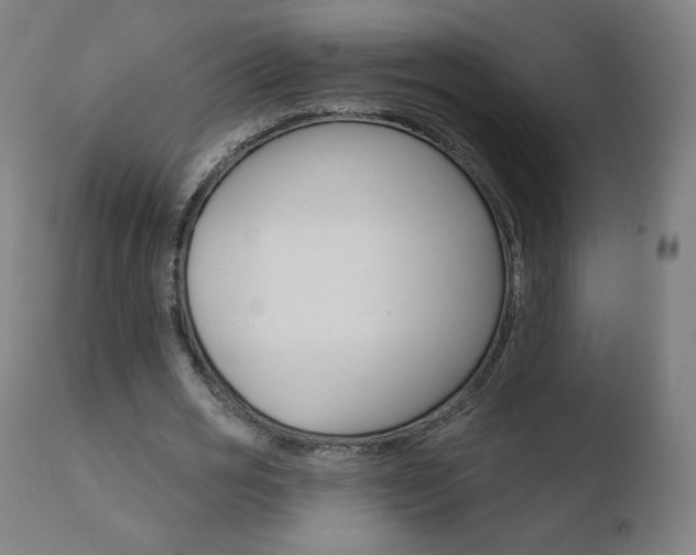 X0000110720725200906121246