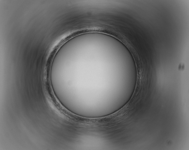 X0000110720726200906121246