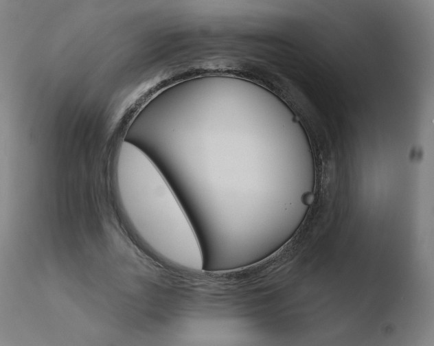 X0000110720727200906121246