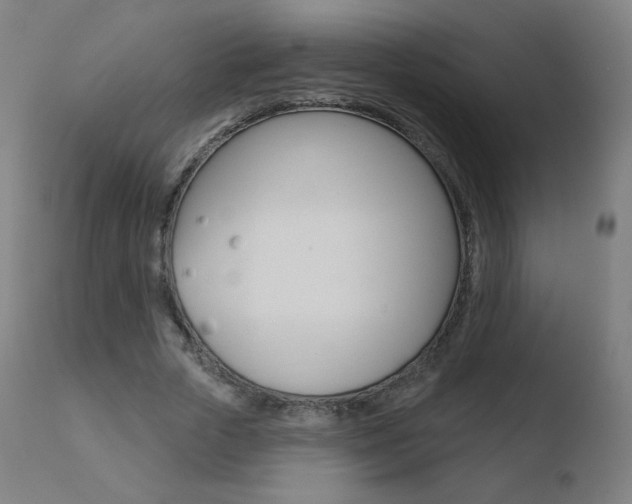 X0000110720729200906121246