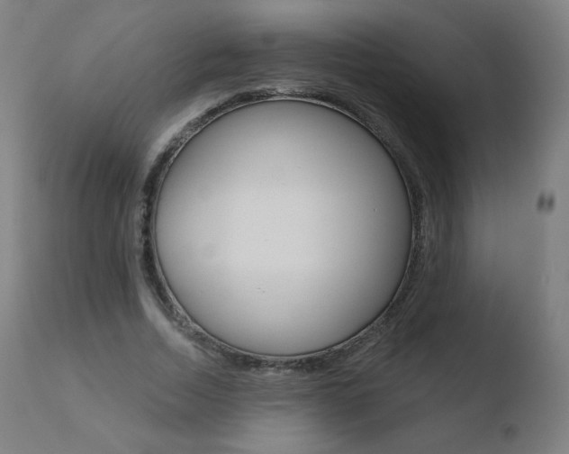 X0000110720730200906121246
