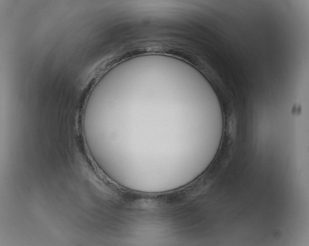 X0000110720733200906121246