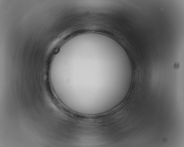 X0000110720734200906121246