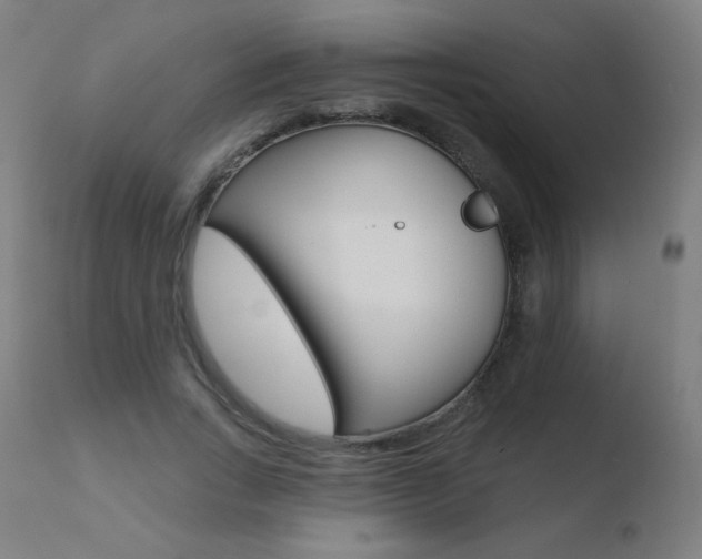 X0000110720735200906121246