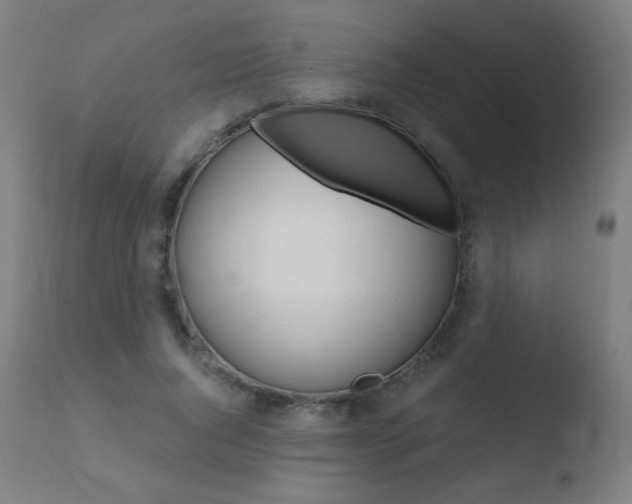 X0000110720736200906121246