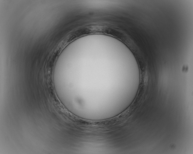X0000110720737200906121246