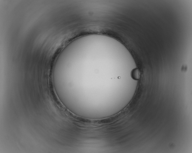 X0000110720739200906121246