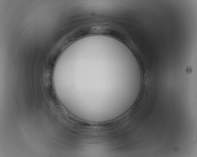 X0000110720741200906121246