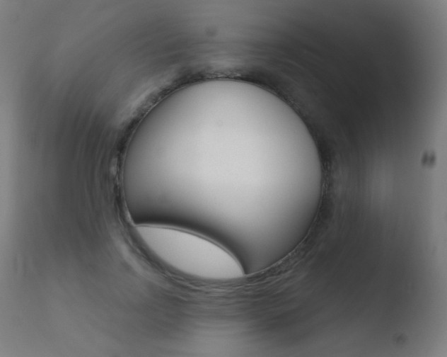 X0000110720742200906121246