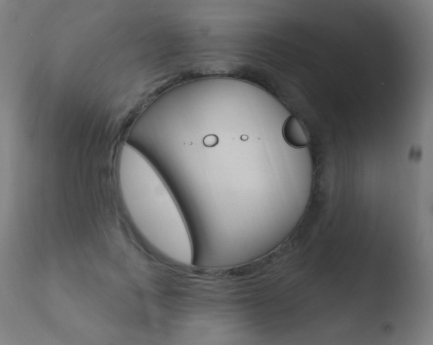 X0000110720743200906121246
